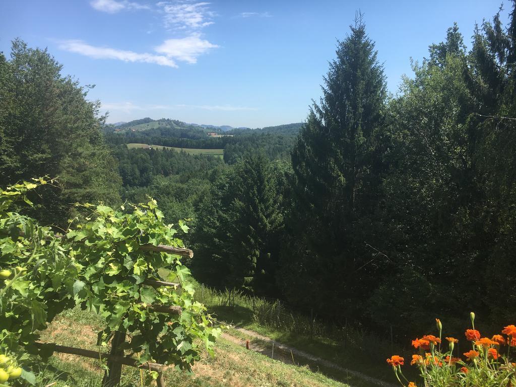Gaestehaus Schmid Sankt Johann im Saggautal Luaran gambar