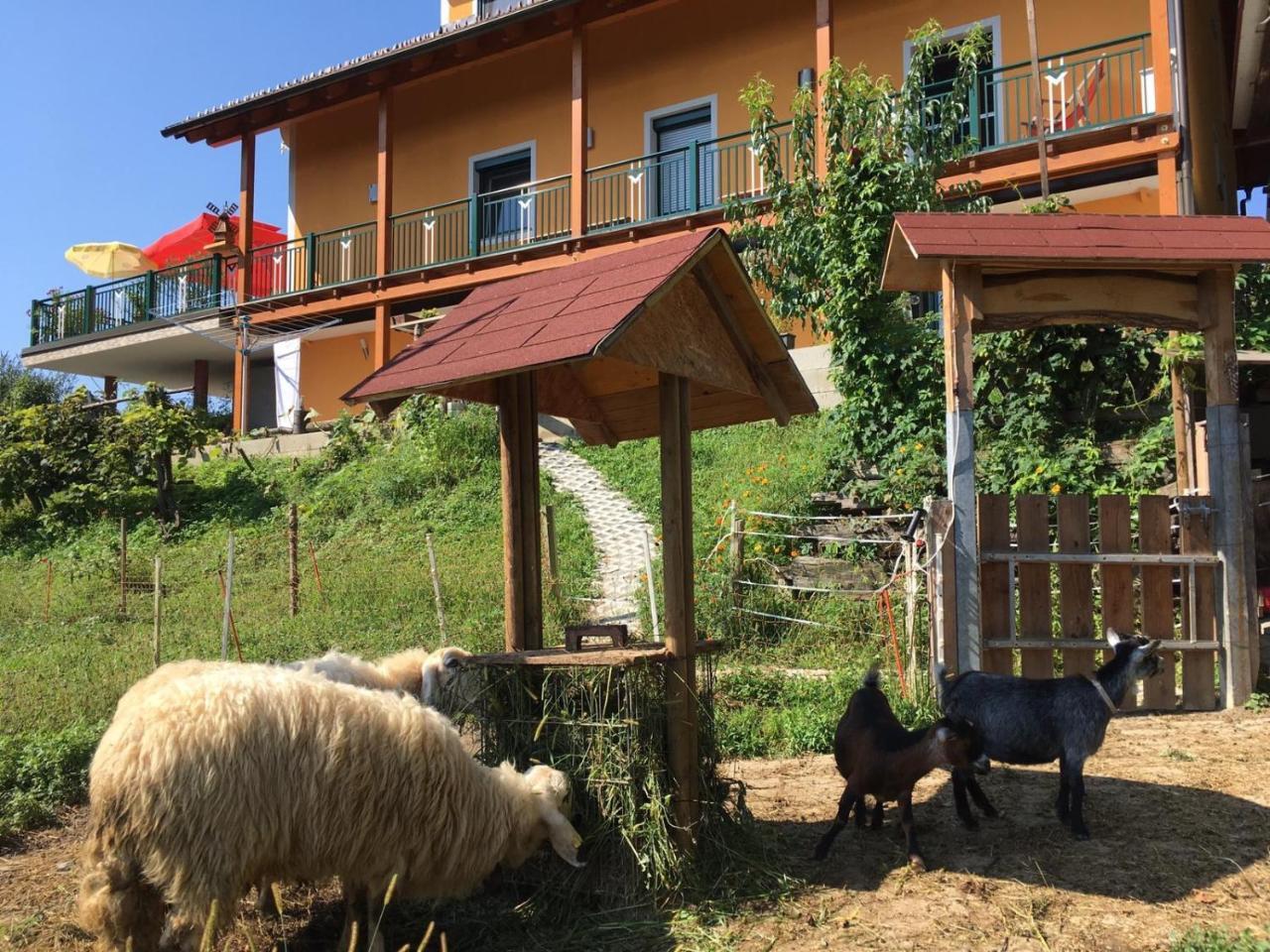 Gaestehaus Schmid Sankt Johann im Saggautal Luaran gambar
